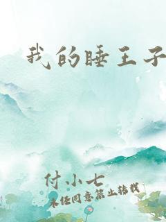 我的睡王子殿下