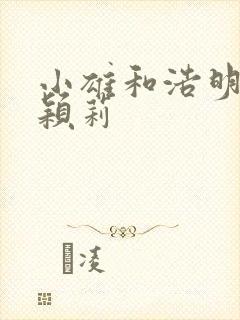 小雄和浩明夹击颖莉