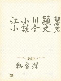 江小川颖儿穿越小说全文免费阅读