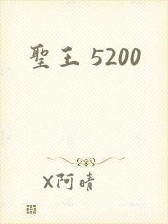 圣王 5200
