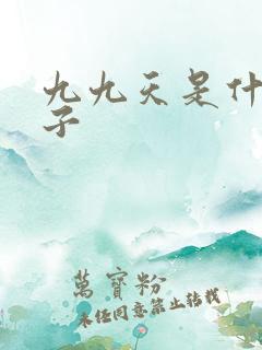 九九天是什么日子