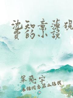 沈知意薄砚霆免费的小说