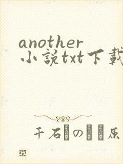 another小说txt下载