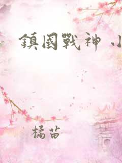 镇国战神 小说