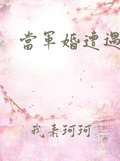 当军婚遭遇爱情