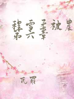 程雪柔被农民工第六章