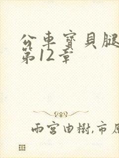 公车宝贝腿开点第12章