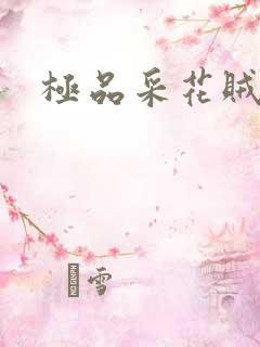极品采花贼