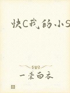 快C我的小SB