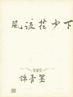 风流花少下载