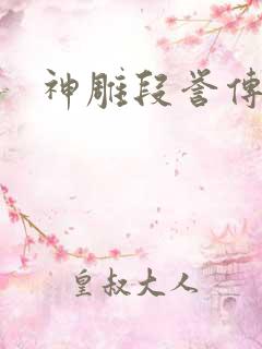 神雕段誉传