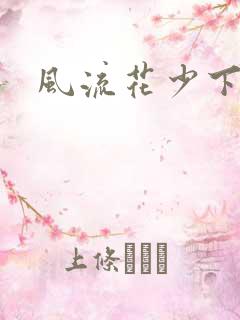 风流花少下载
