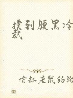 扑到腹黑冷面总裁