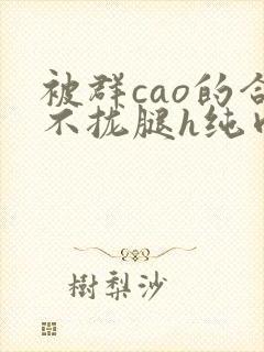 被群cao的合不拢腿h纯肉视频