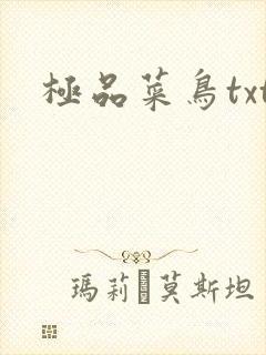 极品菜鸟txt