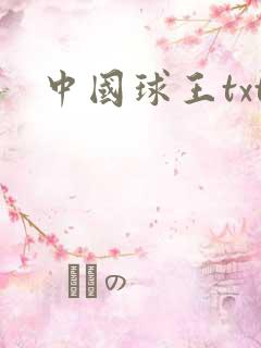 中国球王txt