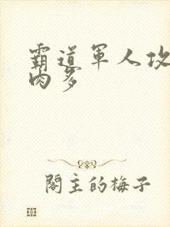 霸道军人攻现代肉多