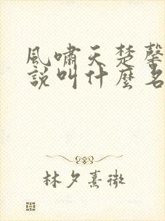 风啸天楚馨月小说叫什么名字