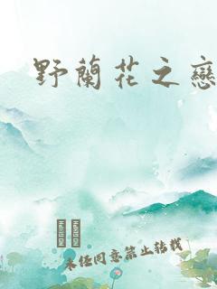 野兰花之恋