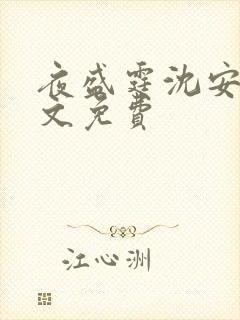 夜盛霆沈安然全文免费