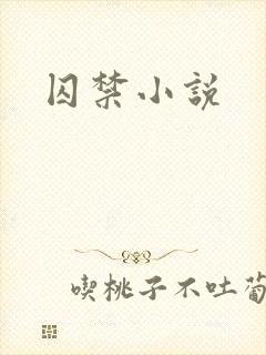 囚禁小说