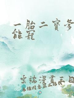 一胎二宝爹地超能宠