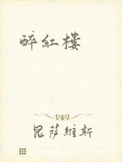 醉红楼