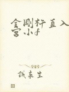 金刚杵直入莲花宫小f