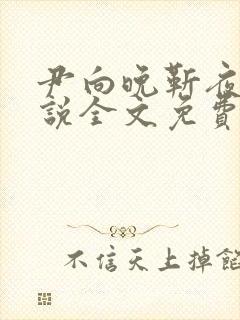 尹向晚靳夜擎小说全文免费阅读无弹窗