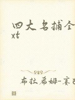 四大名捕全集txt