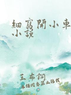 细写开小车车的小说