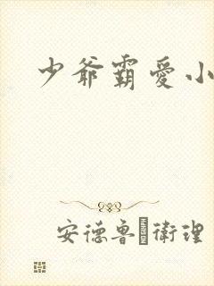 少爷霸爱小丫头