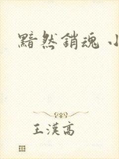 黯然销魂 小说