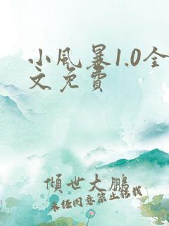 小风暴1.0全文免费