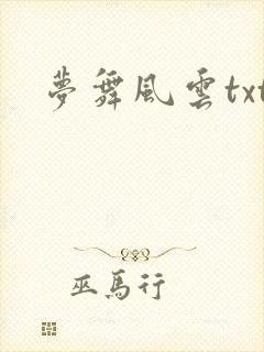 梦舞风云txt
