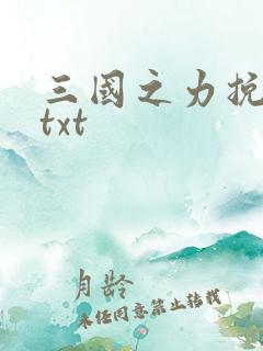 三国之力挽狂澜txt
