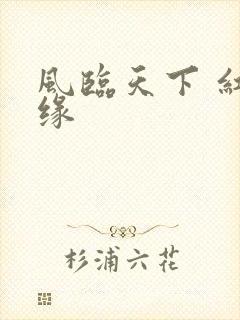 风临天下 红冰缘