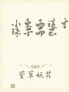 小东西这才一颗珠子而已