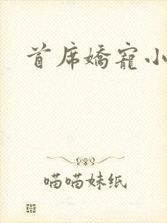 首席娇宠小情人