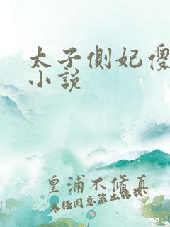 太子侧妃傻乎乎小说