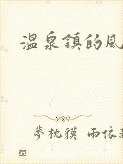温泉镇的风流事