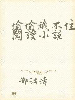 偷偷藏不住免费阅读小说