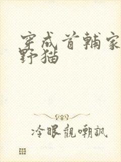 穿成首辅家的小野猫