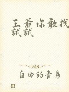 王爷你敢找小三试试