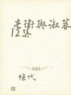 老卫与淑蓉1一12集