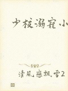 少校溺宠小小妻