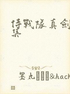 侍战队真剑者全集