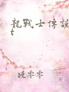 龙战士传说txt