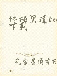 终极黑道txt下载