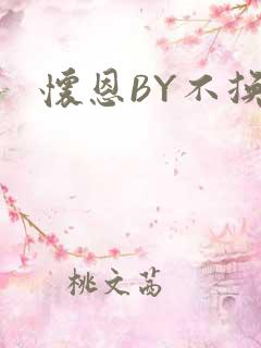 怀恩BY不换